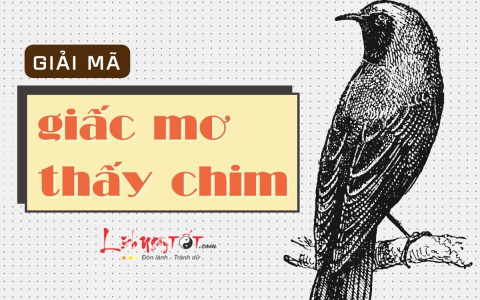 Nằm Mơ Thấy Bị Cắt Tóc: Giải Mã Ý Nghĩa Và Số May Mắn