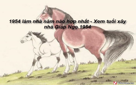Hướng dẫn xem tuổi làm nhà năm 2014 cho tuổi Giáp Ngọ 1954