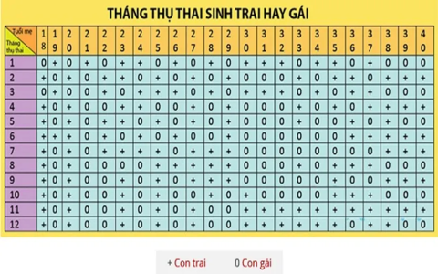 Sinh con năm nào hợp với chồng 1981 vợ 1985? Bí quyết chọn năm tốt