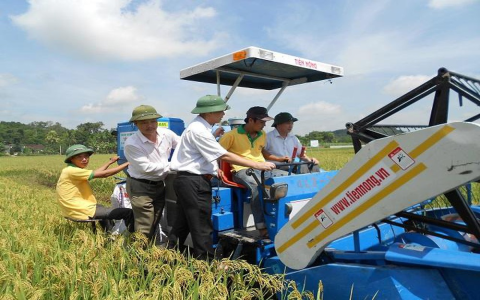 Ý Nghĩa Giấc Mơ Thấy Ruộng Lúa: Những Dấu Hiệu Thịnh Vượng Và Thành Công