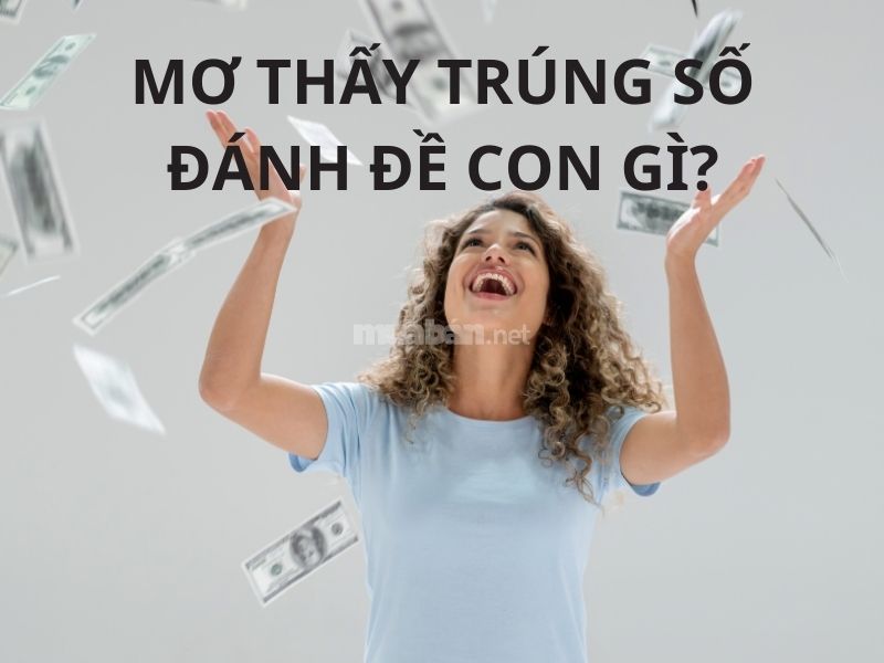 Nằm Mơ Thấy Xoong Nồi Đánh Số Gì? Giải Mã Điềm Báo Và Con Số May Mắn