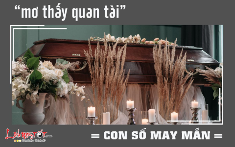 Mơ Thấy Trứng Gà: Ý Nghĩa và Các Con Số May Mắn Liên Quan