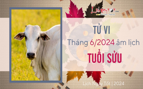 Tử vi tuổi Quý Sửu nữ mạng năm 2016: Dự báo về sự nghiệp, tình duyên và sức khỏe