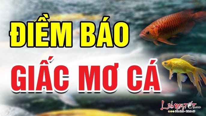 Nằm Mơ Thấy Cá Chép: Điềm Báo May Mắn Hay Cảnh Báo Gì?