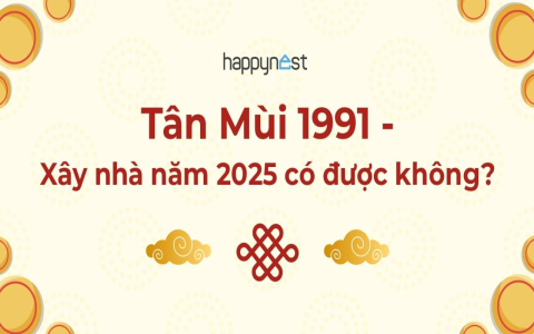 Tử Vi Tuổi Tân Mùi 1991 Năm 2020: Đánh Giá Vận Mệnh, Tiền Bạc, Sức Khỏe