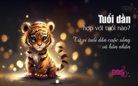 Tử Vi Nữ Bính Dần 2020: Dự Báo Tình Duyên, Sự Nghiệp Và Tài Lộc