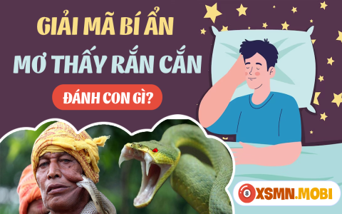 Giải Mã Giấc Mơ Thấy Bị Rắn Cắn Vào Tay: Điềm Lành Hay Xui?