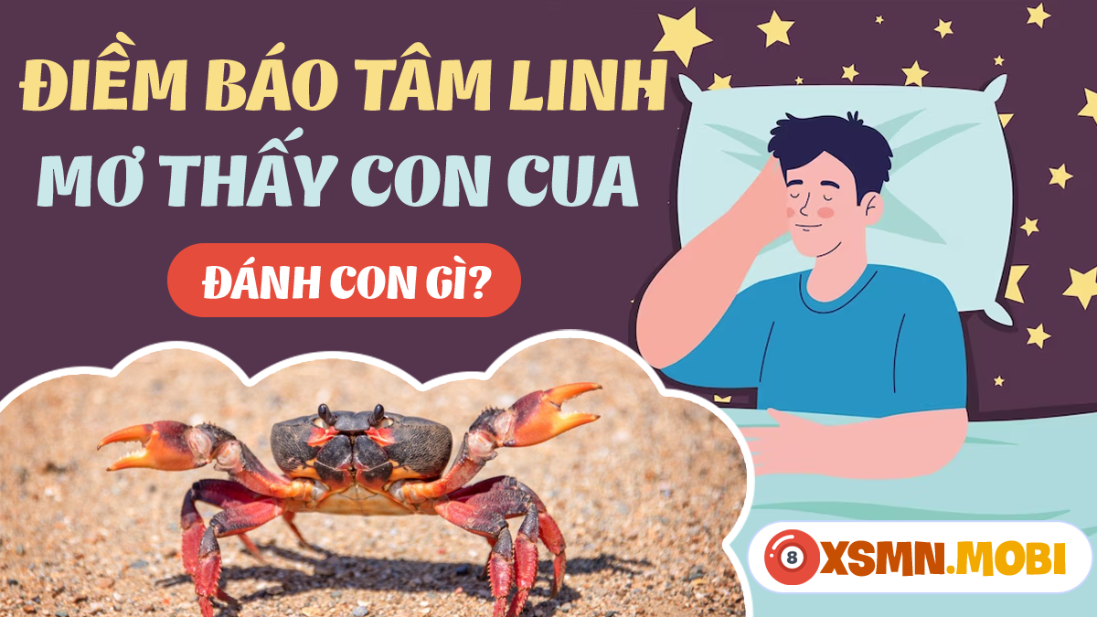 Nằm mơ thấy cua biển đánh số gì? Hé lộ con số may mắn đổi đời