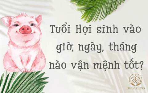 Xem phong thủy tuổi Tân Hợi làm nhà năm 2020 như thế nào?