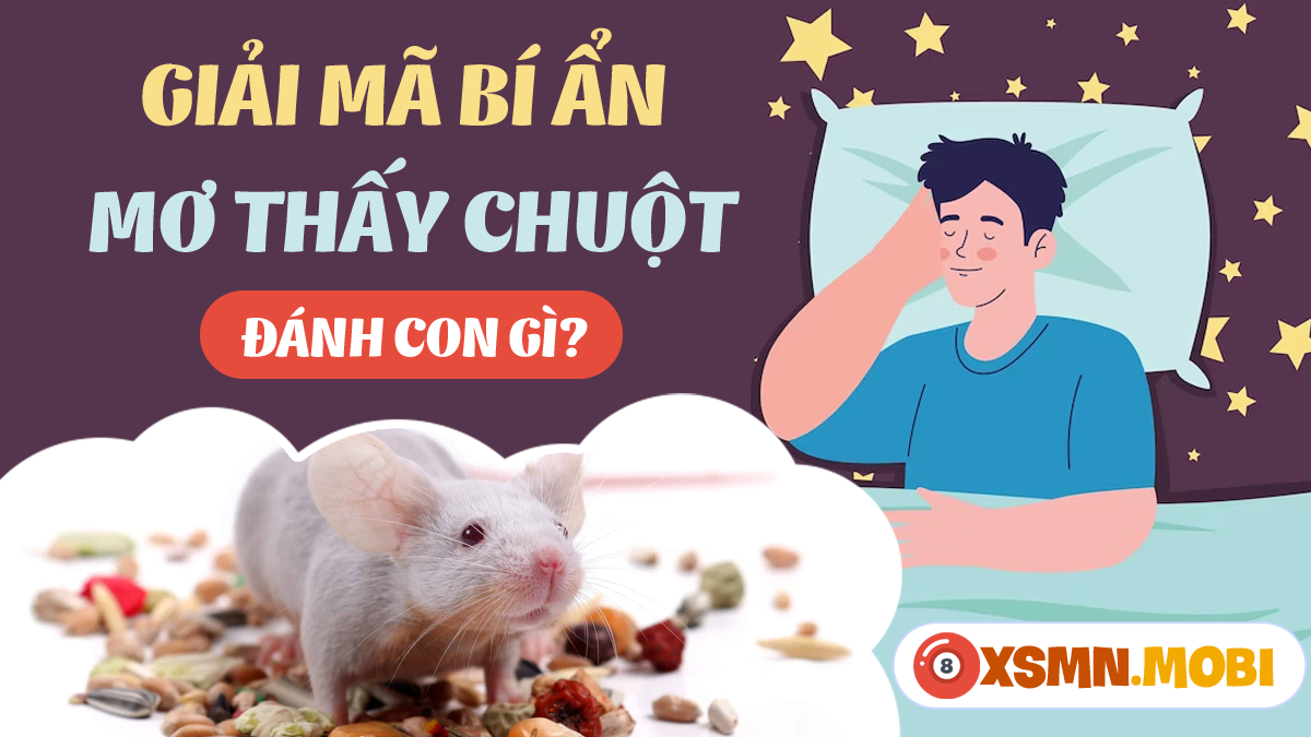 Nằm mơ thấy chuột đánh số mấy? Ý nghĩa giấc mơ và lời giải đáp chi tiết