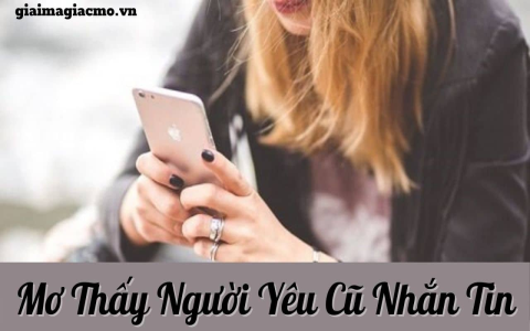 Mơ Thấy Ốc Sên Là Điềm Gì? Tìm Hiểu Ý Nghĩa Và Số Đề