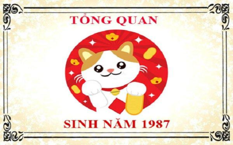 chồng 1987 vợ 1989 sinh con năm nào để con thông minh, tài giỏi ?