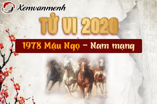 Tử vi tuổi mậu ngọ nam mạng 1978 năm 2020 và những điều cần biết