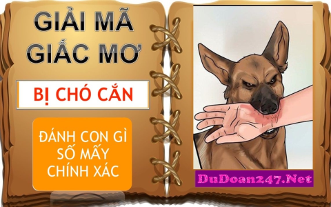 Nằm mơ thấy chạy trốn đánh con gì (Lý giải chi tiết cho bạn)