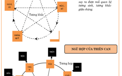 Xem Tuổi Vợ Chồng Theo Cung Sinh (Hướng Dẫn Đơn Giản)