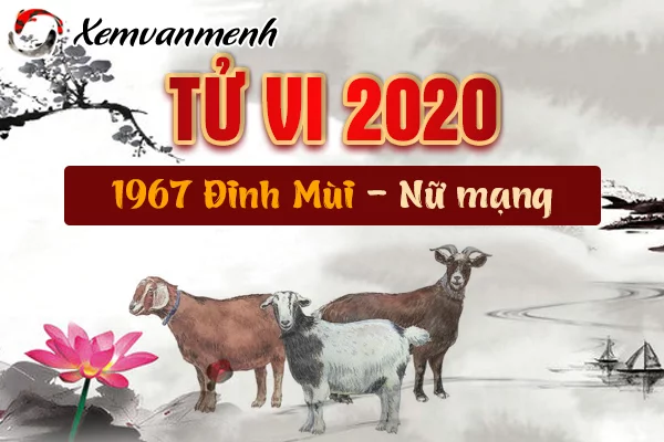 Luận giải chi tiết tử vi tuổi Đinh Mùi năm 2020 nữ mạng.