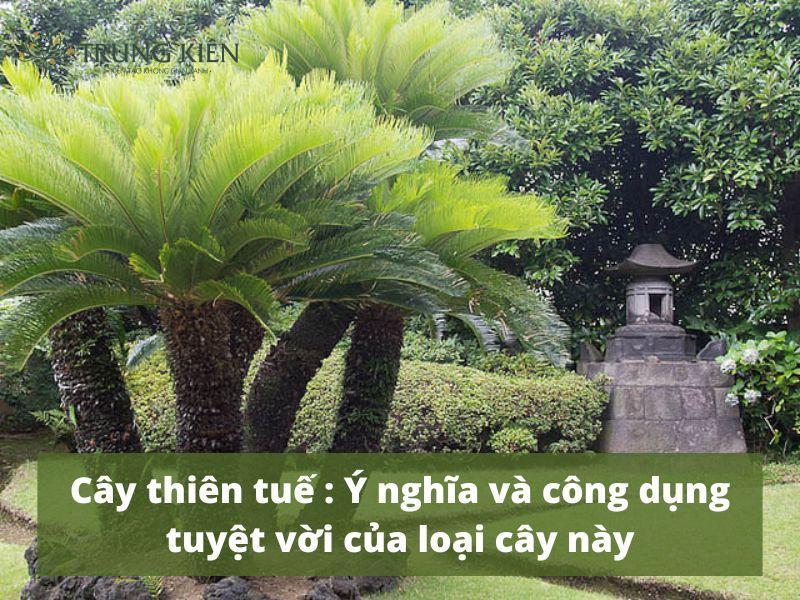 Tử vi ngày mai Thiện Tuệ:  Giải mã vận mệnh của bạn hôm nay