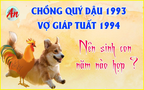 chồng tuổi Ngọ vợ tuổi Sửu sinh con năm nào tốt, xem ngay để biết!