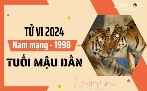 Nam Mạng Tuổi Giáp Dần Năm 2020: Xem Tử Vi Để Biết Hung Cát Ra Sao