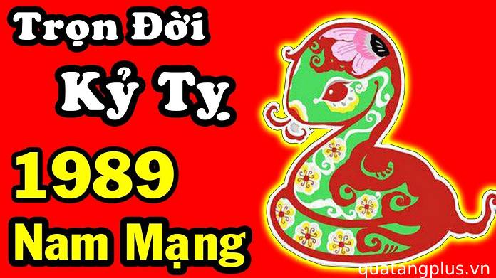 Luận Giải Chi Tiết Tử Vi Tuổi Kỷ Tỵ 1989 Nam Mạng Năm 2018