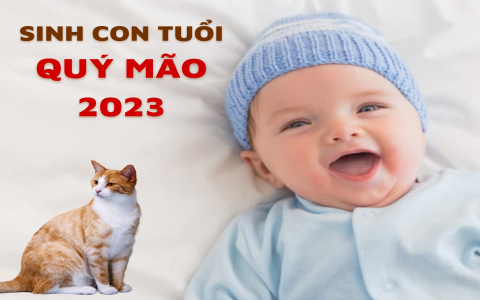 Chồng 1983 vợ 1985 sinh con năm nào tốt? Hướng dẫn chọn năm sinh con hợp tuổi bố mẹ!