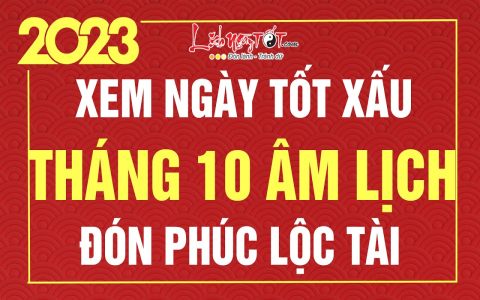 Tuổi Quý Hợi khai trương ngày nào tốt 2020? Hướng dẫn chọn ngày giờ hoàng đạo!