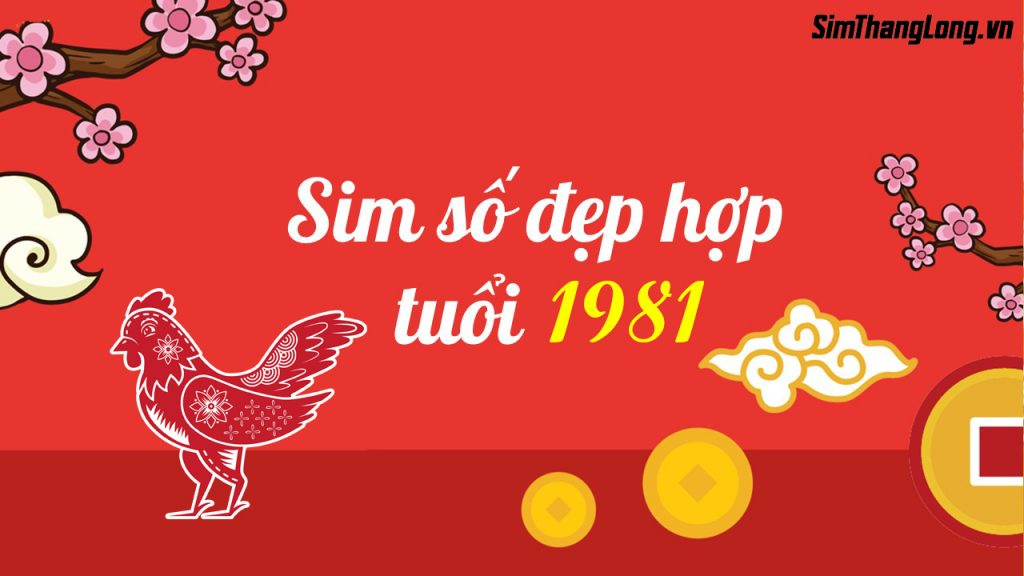 Cách chọn sim hợp mệnh cho người sinh năm 1981: Đơn giản, dễ hiểu.