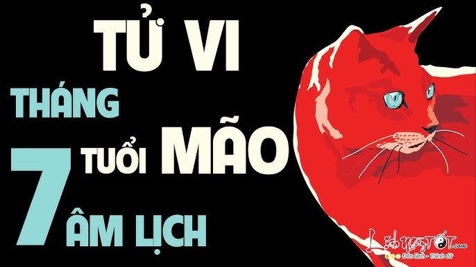 Xem Tử Vi Ất Mão 2018 Nam Mạng: May Mắn Hay Thách Thức?