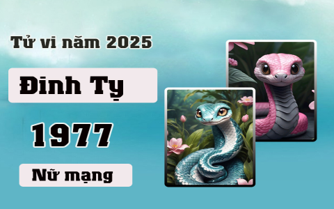 Người tuổi Đinh Tỵ năm 2021: Vận hạn, cơ hội và thách thức ra sao?