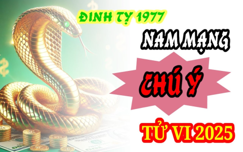 Tử vi nam mạng Đinh Tỵ năm 2017: Những điều cần biết để thành công