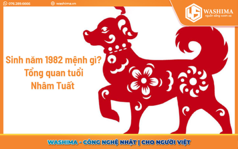 Tử vi 2020: Nữ Nhâm Tuất gặp vận hạn gì? (Xem chi tiết để biết)
