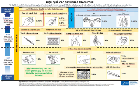 Cách tính trứng tăng đơn giản, dễ hiểu (Hướng dẫn chi tiết cho người mới)