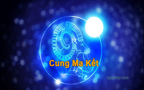 Sinh ngày 1 1 1986 có gì đặc biệt? Xem ngay để biết nhé!