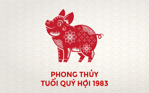 Tu Vi Tuoi Tan Hoi Nu Mang 2020: Chi Tiết Về Công Danh, Sức Khỏe, Gia Đạo