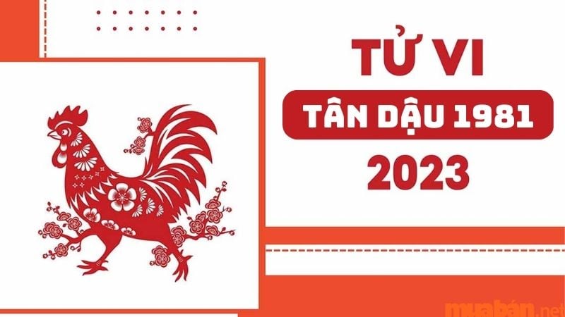 Luận giải tử vi nữ mạng 1981 năm 2019: Cơ hội và thách thức