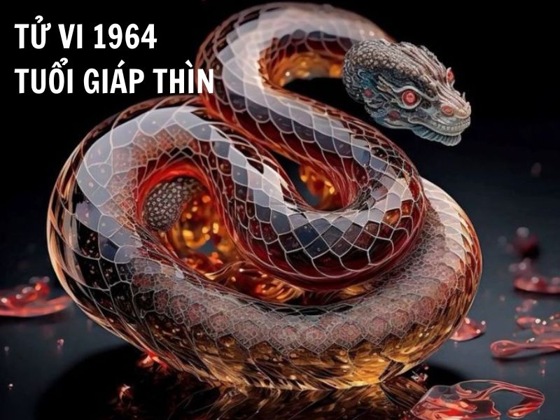 Xem tử vi 2019 tuổi Giáp Thìn nữ mạng 1964: Chi tiết tài lộc, tình duyên.