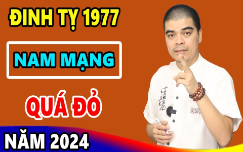 Tử Vi Trọn Đời Tuổi Đinh Tỵ 1977 Nam Mạng Năm 2018