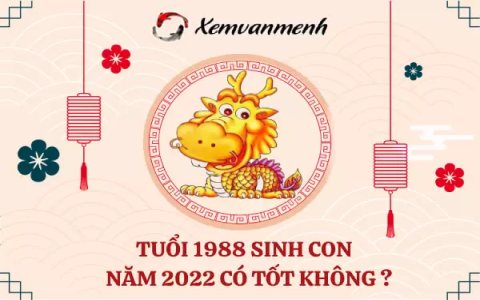 Chồng 1988 vợ 1993 sinh con năm nào tốt? Hướng dẫn chi tiết!