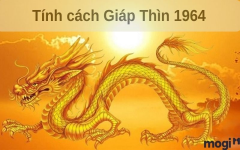 Xem tử vi 2019 tuổi Giáp Thìn nữ mạng 1964: Chi tiết tài lộc, tình duyên.