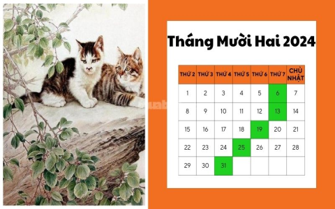 Xem ngày 28 tháng 12 năm 2019: Ngày này tốt cho việc gì, kỵ việc gì?