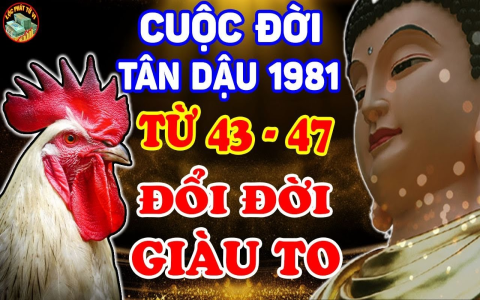 Bình giải tử vi 2020 tuổi Dậu 1981: Cơ hội và thách thức ra sao?