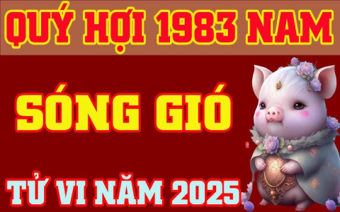 Tử Vi Đinh Tỵ Nữ Mạng 2019: Luận Giải Chi Tiết Vận Hạn, Tình Duyên