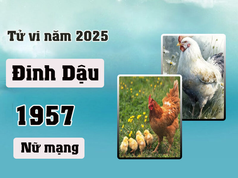 Xem tử vi tuổi đinh dậu nữ năm 2018: Tình duyên, sự nghiệp ra sao?