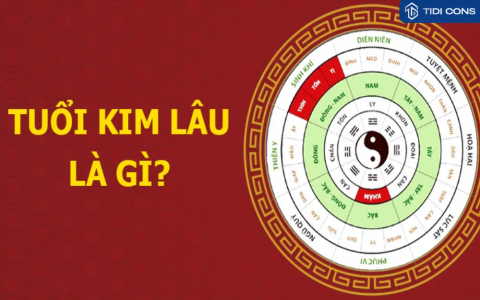 Tuổi Kỷ Dậu 1969 hợp màu gì? Xem phong thủy tuổi kỷ dậu năm 1969 chuẩn nhất!